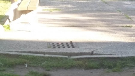 V obci sa deratizuje a potkany behajú cez deň po námestí /foto: Marek Poliak,  29.9.2015